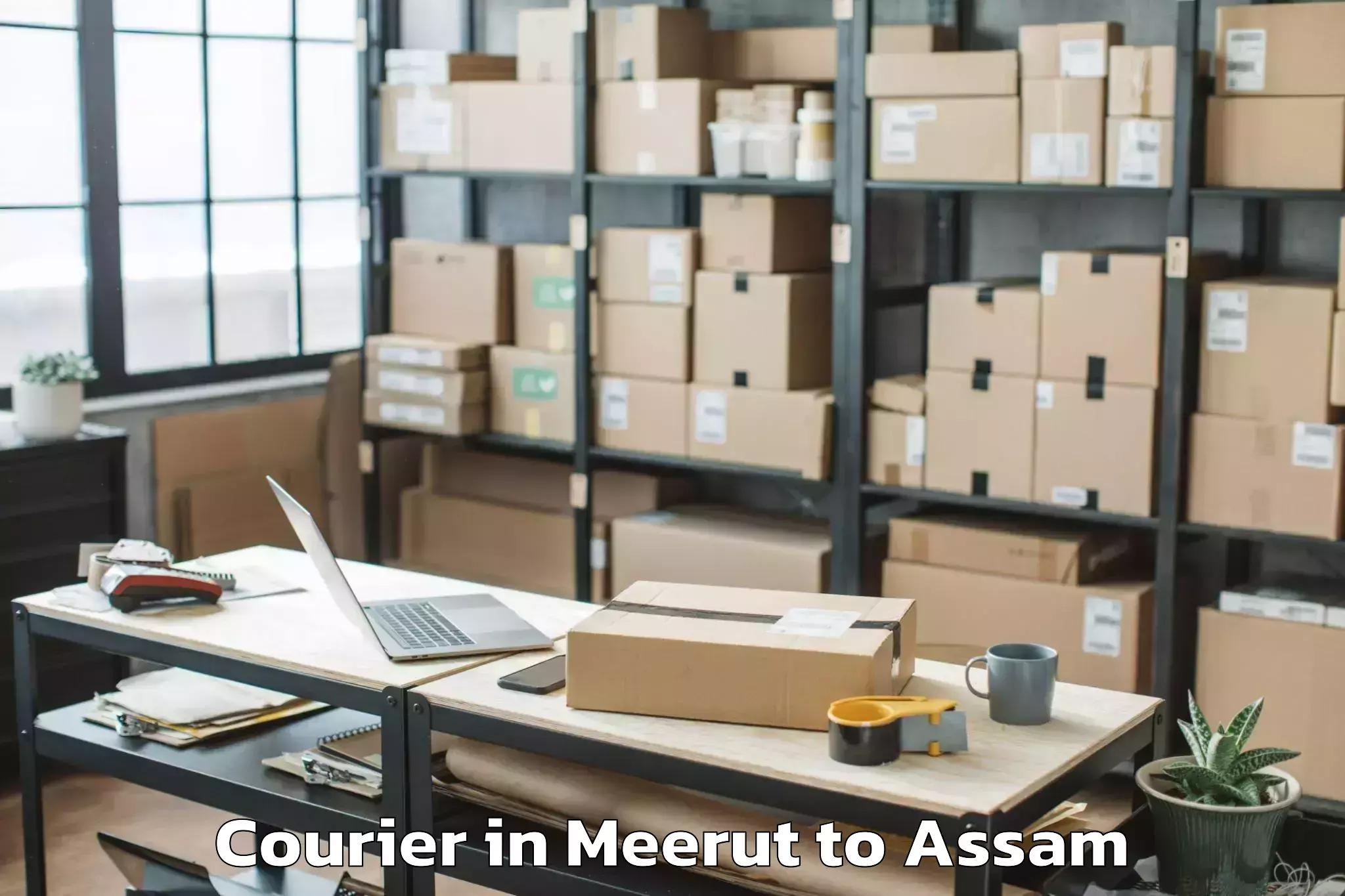 Book Meerut to Paneri Kamrup Courier Online